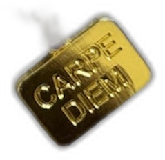 PLATE' CHAIN (GOLD)