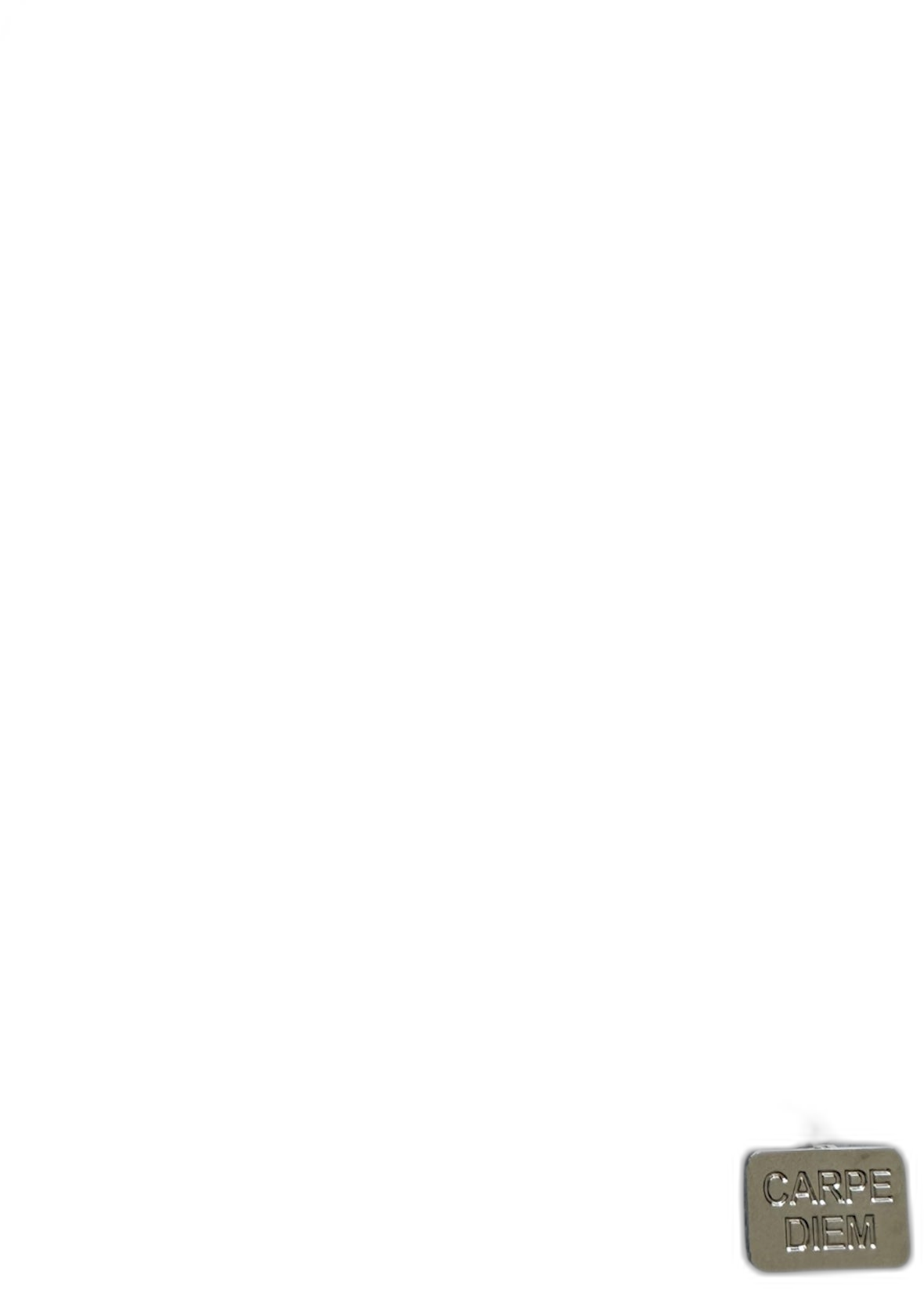 PLATE' CHAIN (SILVER)